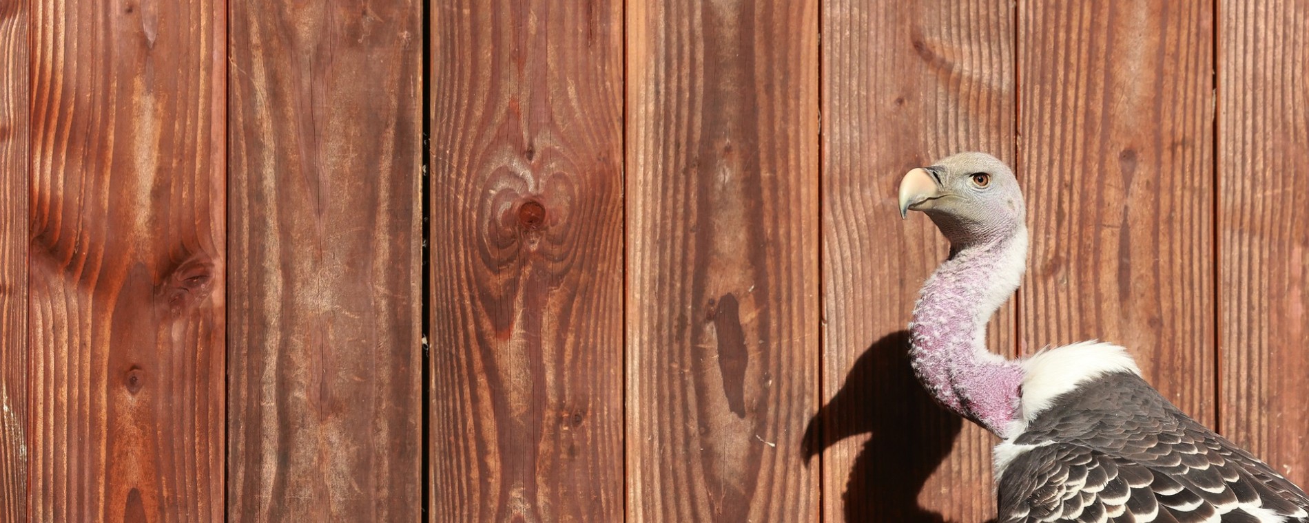 Znamení Ježíšova příchodu